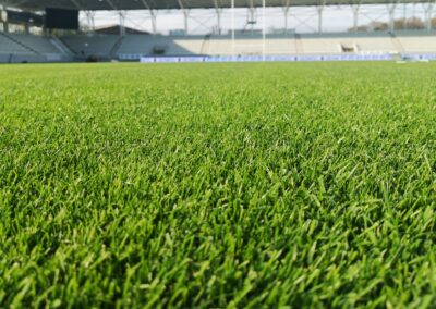 Stadionul Național De Rugby Arcul De Triumf – Bucharest, Romania