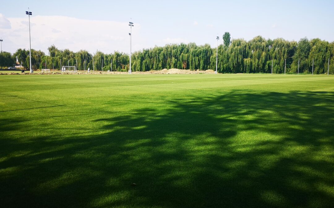 CSU Craiova Training Facility – Craiova, Romania